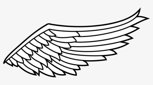 Wing, Flight, Angel, Spiritual, Flying, Spirituality - Transparent Right Angel Wing, HD Png Download, Free Download
