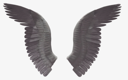 Wings Png - Eagle Wings No Background, Transparent Png, Free Download