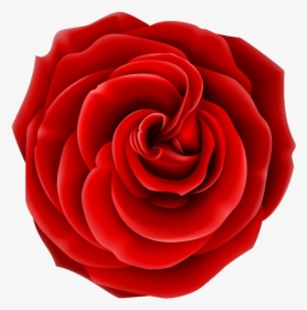 Rose Png, Download Png Image With Transparent Background, - Realistic Rose Vector, Png Download, Free Download