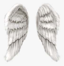Angel Clip Art - Realistic Angel Wings Png, Transparent Png, Free Download