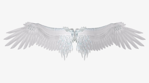 Sayap, Putih, Bulu, Sayap Malaikat - Dark Angel Wings Png, Transparent Png, Free Download