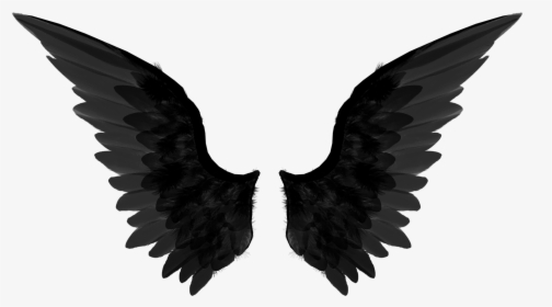 Png Images Gallery - Black Angel Wings Png, Transparent Png, Free Download