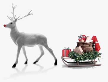 Santa Claus's Reindeer, HD Png Download, Free Download