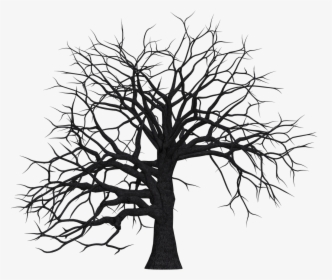 Dead Trees Clip Art, HD Png Download, Free Download