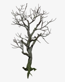 Tree, Isolated, Digital Art, Mystical - Mystical Tree Png, Transparent Png, Free Download