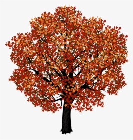 Japanese Maple Tree Clipart, HD Png Download, Free Download
