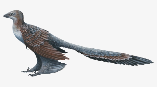 Winged Dinosaur, HD Png Download, Free Download