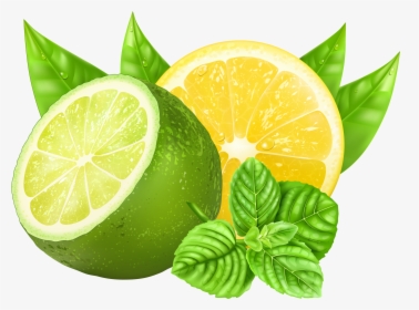 Transparent Lemon Slice Png - Lemon And Lime Vector, Png Download, Free Download