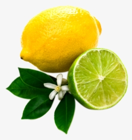 Lemon Png Image With Leaf And Slice - Natural Estogen Blockers For Woman, Transparent Png, Free Download