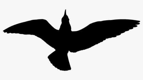 Seagull Silhouette Png - Cartoon Seagulls Silhouette Png, Transparent Png, Free Download