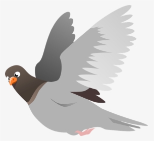Squab, Pigeon, Animal, Bird, Flight, Flying, Wings - Racing Pigeon Clip Art, HD Png Download, Free Download