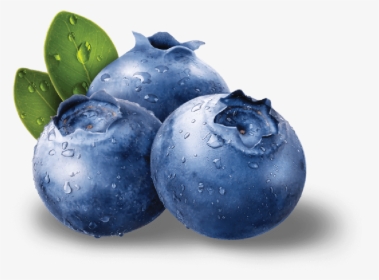 Blueberries Png - Blueberry Fruit, Transparent Png, Free Download
