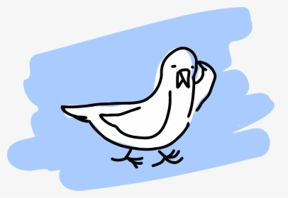 Transparent Seagull Flying Png - Gulls, Png Download, Free Download