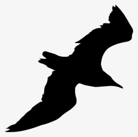 Silhouette Seagull Png Birds, Transparent Png, Free Download