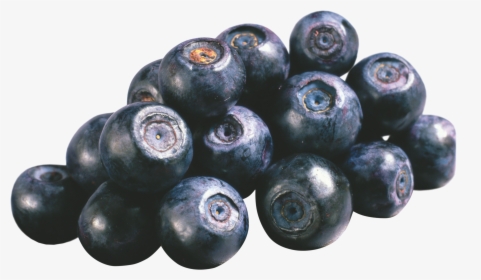 Now You Can Download Blueberries Icon Clipart - Blueberry Blackcurrant, HD Png Download, Free Download