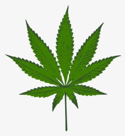 Cannabis, Sativa, Marijuana, Weed, Mary-jane, Blow - Weed Plant, HD Png Download, Free Download
