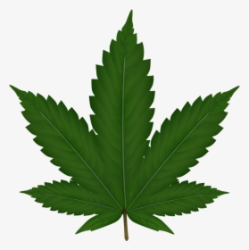 Cannabis, Hemp, Leaf, Weed, Reed, Green, Nerves, Veins - Transparent Background Marijuana Leaf, HD Png Download, Free Download