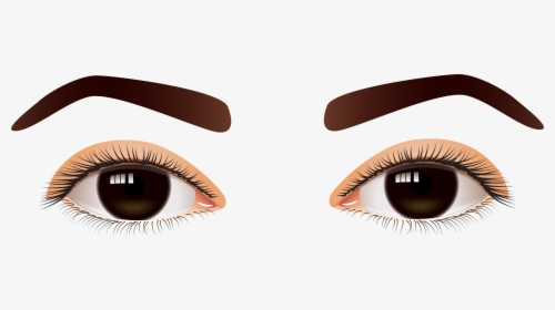 Brown Real And Vector - Transparent Background Human Eye Png, Png Download, Free Download