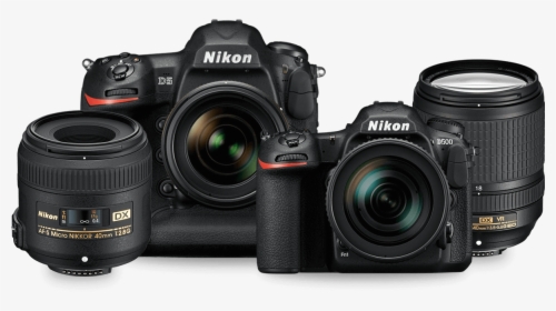 Nikon D5 Vs D3400, HD Png Download, Free Download