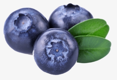 Three Blueberries - Bilberry Png, Transparent Png, Free Download