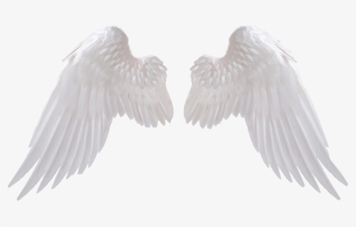 White Wings Png Clipart - Transparent Background Angel Wings Png, Png Download, Free Download