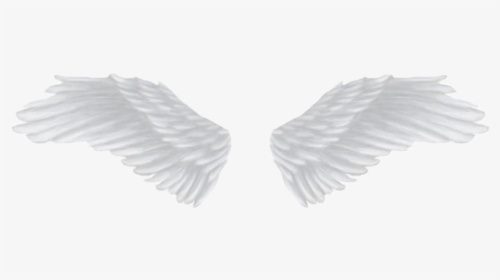 White Angel Wings Png - Wings Png Black Background, Transparent Png, Free Download