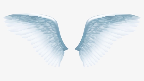 Angel Wing Icon - White Angel Wings Png, Transparent Png, Free Download