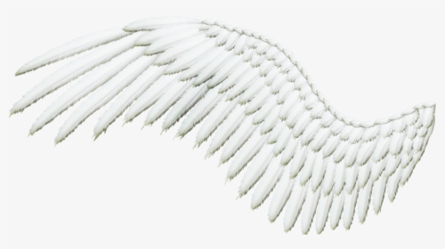 Transparent Angels Wings Clipart - Angel Wings Angle, HD Png Download, Free Download