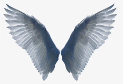 White Wings Png Image - Wings Transparent Background, Png Download, Free Download