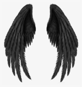 Black Wings Png Image - Picsart Wing, Transparent Png, Free Download