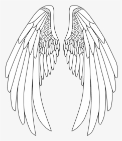 Angel Wings Png - Drawing Pencil Angel Wings, Transparent Png, Free Download