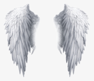 White Angel Wings Transparent Background, HD Png Download, Free Download