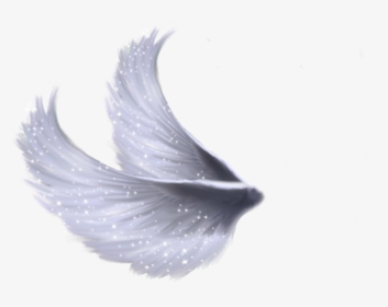 Download Wings Png File - White Fairy Wings Png, Transparent Png, Free Download