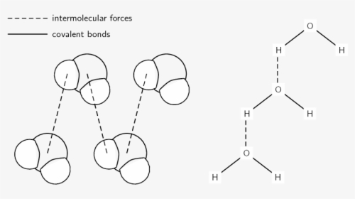 Water Structure Intermolecular Force, HD Png Download, Free Download