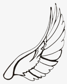 Wings Line Drawing At - Wings Line Drawing Png, Transparent Png, Free Download