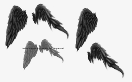 Broken Angel Wings Png, Transparent Png, Free Download