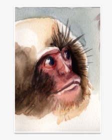 Clip Art Macaco Vermelho - Rhesus Macaque, HD Png Download, Free Download