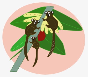 Transparent Macaco Png - Illustration, Png Download, Free Download