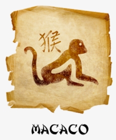 M Cup And Logo - Symbol Of Monkey, HD Png Download, Free Download
