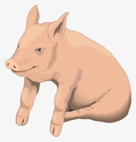 Picture Pig Png Image - Pig Clipart With Transparent Background, Png Download, Free Download