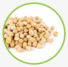 Chickpea Md Circle - Chick Pea Scientific Name, HD Png Download, Free Download