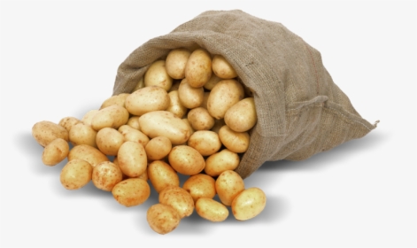 Chickpea - Sack Of Potatoes Png, Transparent Png, Free Download