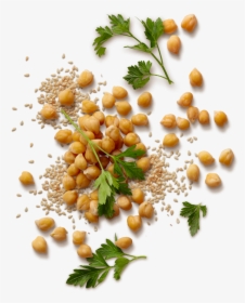 Sabra Story - Chickpea Png Free, Transparent Png, Free Download