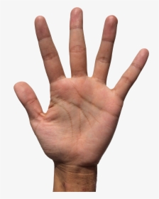 Hand Png Transparent Image - Finger Circle Game, Png Download, Free Download
