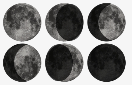 Moon, Phase, Zodiac, Astronomy, Sky, Moonlight - Circle, HD Png Download, Free Download