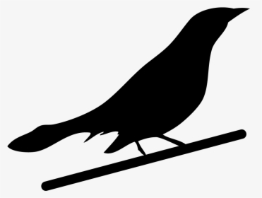 Blackbirds - Illustration, HD Png Download, Free Download