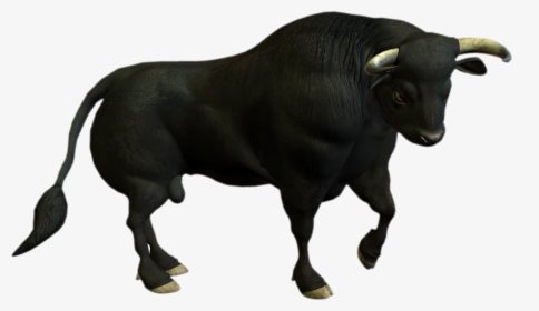 Water Buffalo Png Photo - Magh Bihu 2019 Wishes, Transparent Png, Free Download