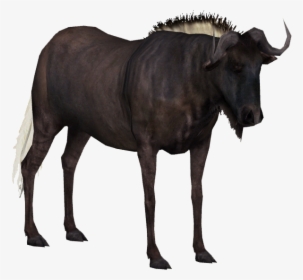 Wildebeest Clear Background, HD Png Download, Free Download