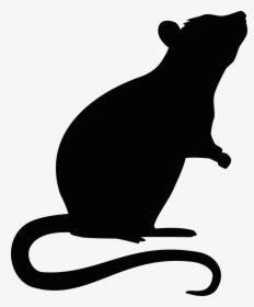 Rat Mouse Rodent - Transparent Rat Silhouette Png, Png Download, Free Download