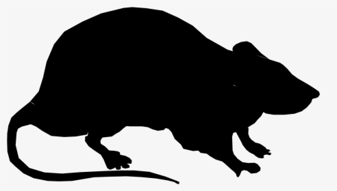 Rat Clip Art Vector Graphics Image Openclipart - Silhouette Of A Rat, HD Png Download, Free Download